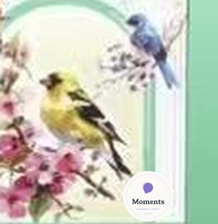 Kit de acuarela guiada Jardín de Moments con paleta de 12 colores y pincel de agua